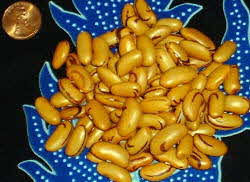 Tiger Eye Beans Tiger Eye Beans