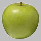 Granny Smith apple