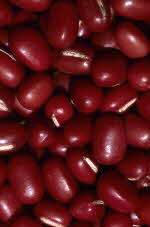 Dark Red Kidney Beans Dark Red Kidney Beans