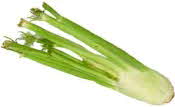 Celery Stalks Celery Stalks