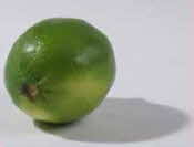 Lime Lime