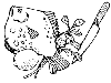 a_Flatfish_with_knife