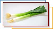 Green Onions