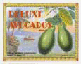 Avacados Avacados