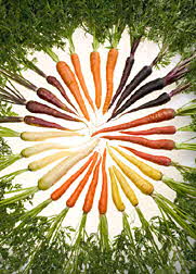 Carrot Colors