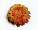 Garnish