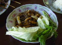 Longicorn Larvae Longicorn Larvae