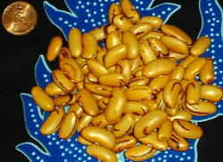 Tiger Eye Beans