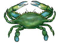 blue-crab