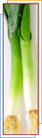 LEEKS