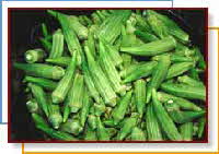 OKRA PODS OKRA PODS