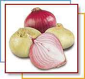 ONIONS