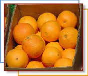 oranges