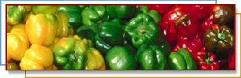 Sweet Peppers