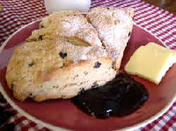 sugar crusted currant scones