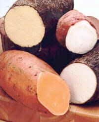 sweet potatoes