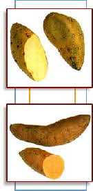 SWEET POTATOES SWEET POTATOES