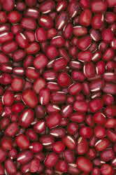 Adzuki or Azuki beans