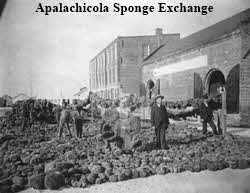 Apalachicola Spongge Exchange