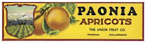 Apricot label