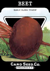 Beet Seed Packet