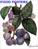 Blueberries
