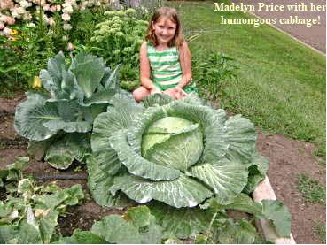 Madelyn Price, cabbage grower