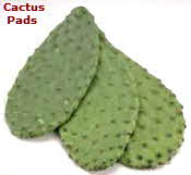 Cactus Pads