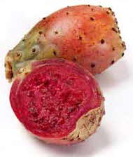 Cactus Pear