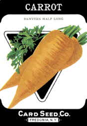 Carrots