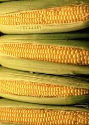 4 corn ears