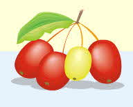 Cornelian Cherry