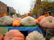 Large Pumpkins on Display