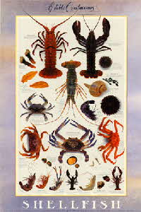 edible-crustaceans