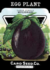 Eggplant Seed Packet