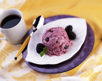 blackberry frozen yogurt