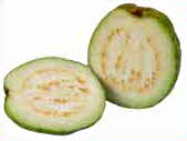 Guava