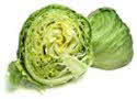 Crisphead Lettuce