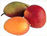 Mangoes