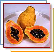 PAPAYA