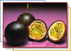 passionfruit