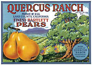 Pear crate label