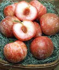 Pluots