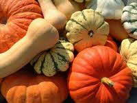 pumpkin & gourds