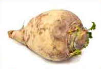 Rutabaga