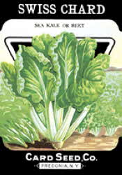 Swiss Chard