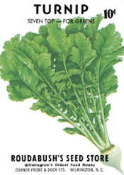 Turnip Greens