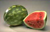 Watermelon Cut