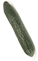 cukes