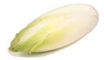 Belgian Endive or French Endive